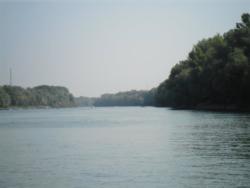 Tisza
