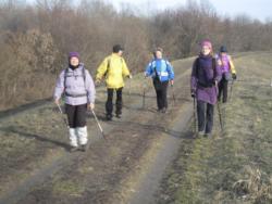 17 - a pannonnordic csapat