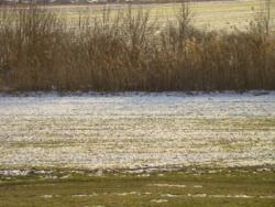 szeged-mak 33 km nw 037