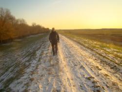 szeged-mak 33 km nw 094