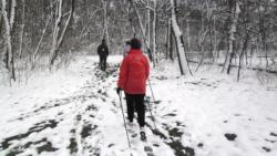 20130316 alaptanfolyam1 31