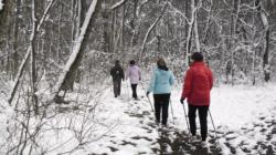 20130316 alaptanfolyam1 32