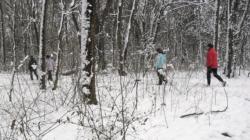 20130316 alaptanfolyam1 33