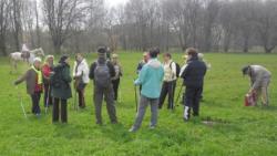 20130407 holt-maros 17