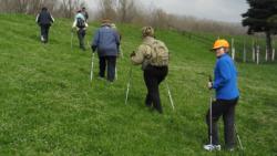 20130407 holt-maros 20