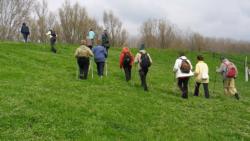 20130407 holt-maros 21