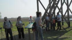 20130421 bivalyrezervatum 02