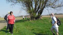 20130421 bivalyrezervatum 14