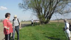 20130421 bivalyrezervatum 15