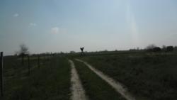 20130421 bivalyrezervatum 17