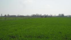 20130421 bivalyrezervatum 21