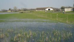 20130421 bivalyrezervatum 23