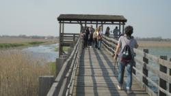 2013.04.21. - Bivalyrezervátum