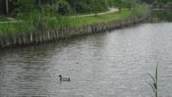 20130512 holt-maros 04