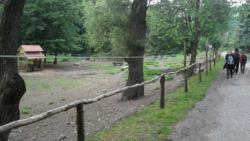 20130518 ram-szakadek 02