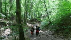 20130518 ram-szakadek 08