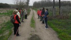 20131103 sandorfalva 02