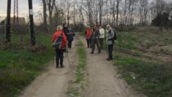 20131103 sandorfalva 03