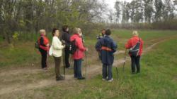 20131103 sandorfalva 06