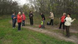 20131103 sandorfalva 07