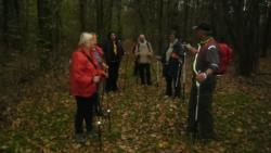 20131103 sandorfalva 13