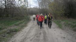 20131103 sandorfalva 16