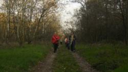 20131103 sandorfalva 33