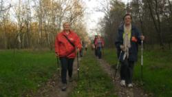 20131103 sandorfalva 34