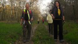 20131103 sandorfalva 35