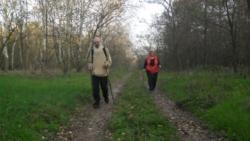 20131103 sandorfalva 36