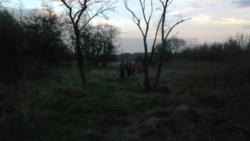 20131103 sandorfalva 41