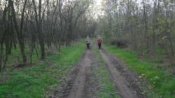 20131117 sandorfalva 04