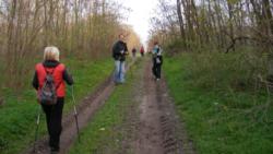 20131117 sandorfalva 05