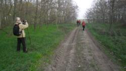 20131117 sandorfalva 06