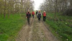 2013.11.17. - Sándorfalva kék túra