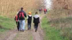 20131117 sandorfalva 08