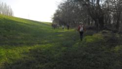 20140309 ujszegedi tisza toltes 12