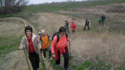 20140315 boszorkany-sziget 11