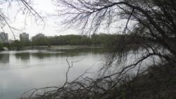 20140323 farkas osveny 03