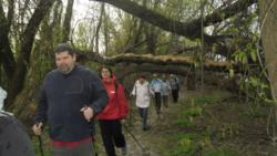 20140323 farkas osveny 08