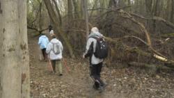 20140323 farkas osveny 09