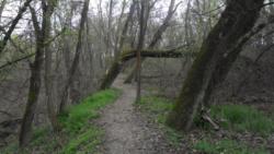 20140323 farkas osveny 15