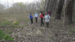 20140323 farkas osveny 16