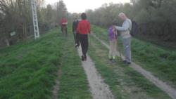 20140323 farkas osveny 20