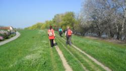 20140330 mora hid 04