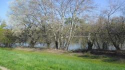 20140330 mora hid 05