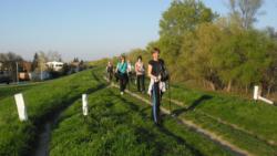 20140330 mora hid 14