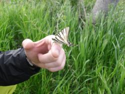 20140418-20 mecsek 03