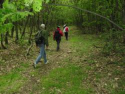 20140418-20 mecsek 05