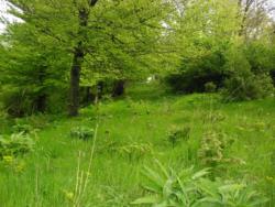 20140418-20 mecsek 06